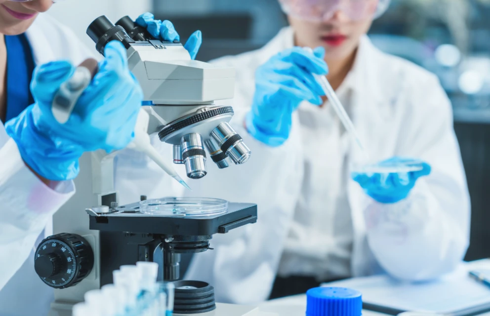 Emphasis on R&D
